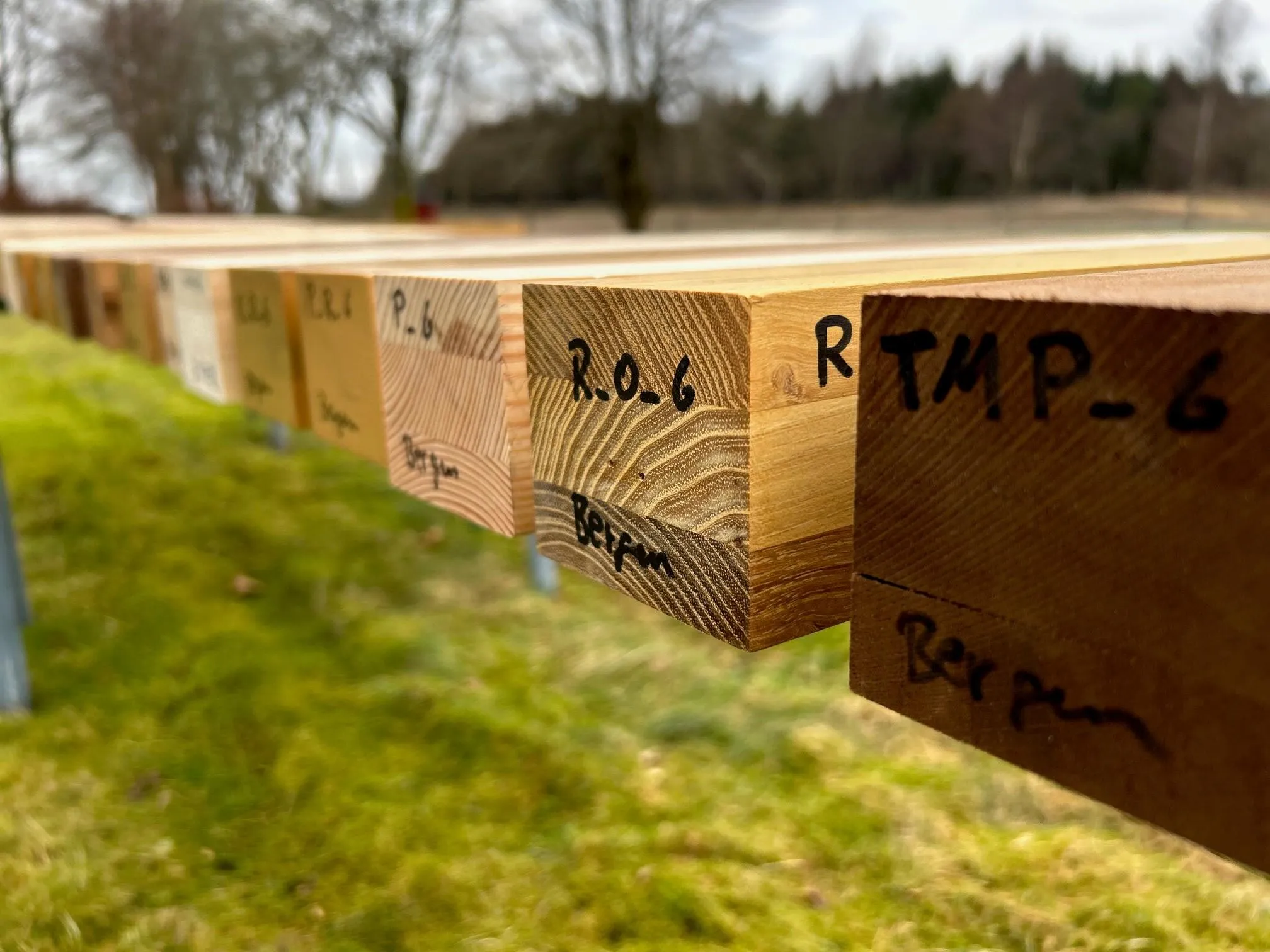 Redefining durability: The REWINNUSE approach to sustainable wooden windows